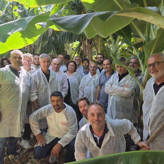 visitas técnicas explotaciones agrícolas